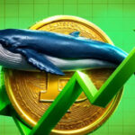 Bitcoin Indicators Flag Best Entry Point for Long-Term Investors