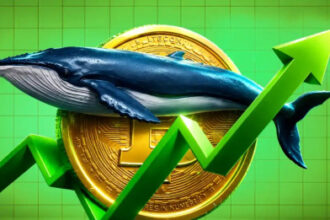 Bitcoin Indicators Flag Best Entry Point for Long-Term Investors