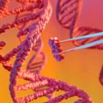 6-year-old in China dies after experimental treatment, investigation finds, raising questions about the country’s gene therapy regulations