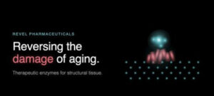 Engineered Enzymes Can Repair Decades of Molecular Aging Damage