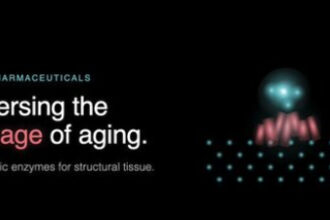 Engineered Enzymes Can Repair Decades of Molecular Aging Damage