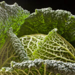 This Inexpensive Vegetable Is Your Secret Weapon to Hitting Your Fiber Goals