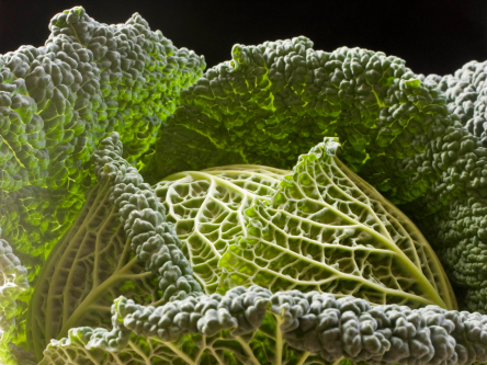 This Inexpensive Vegetable Is Your Secret Weapon to Hitting Your Fiber Goals