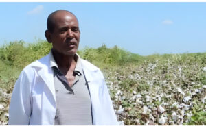 Africa: Can Ethiopia Weave Africa’s Complete Cotton-to-Clothing Value Chain?