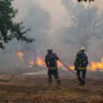France deploys giant military cargo plane to dump tons of flame retardants as European wildfires displace more than 250,000