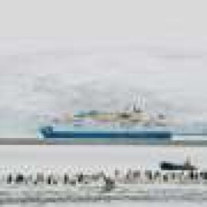 ‘I can’t work in the farce of climate change cruise tourism anymore’: Why Antarctic guides quit their dream jobs