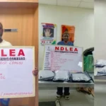 NDLEA seizes N10 billion drug haul, arrests cocaine kingpin in Lagos raids