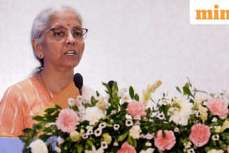 Govt regulation should be guardrails, not tollgates: Sitharaman