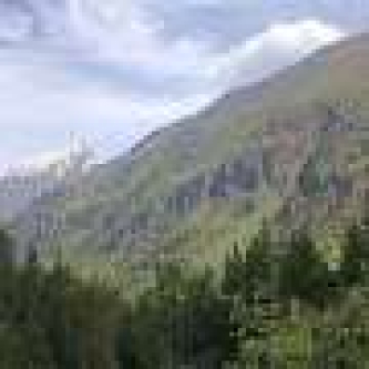 Forest productivity, not rapid warming, shapes Northern Eurasia’s carbon sink