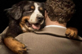 El Consejo Local de Protección Animal articula acciones para fortalecer el bienestar animal