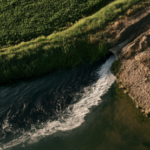 Publisher’s Platform: There is no kill step for Cyclospora