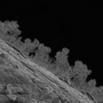 A vast world of rock-eating fungi lurks deep underneath the Great Lakes