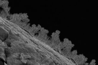 A vast world of rock-eating fungi lurks deep underneath the Great Lakes