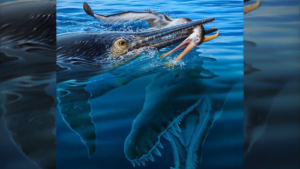 40-foot-long Kronosaurus ate a 23-foot-long marine reptile who ate a pterosaur, fossil shows