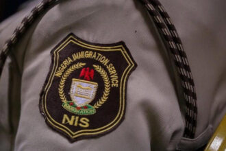 NIS warns public against fake immigration websites, scammers