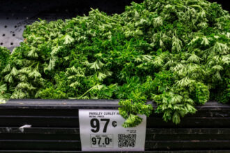 The cyclospora outbreak is the biggest ever. Why this ‘unusual’ outbreak is so hard to manage.