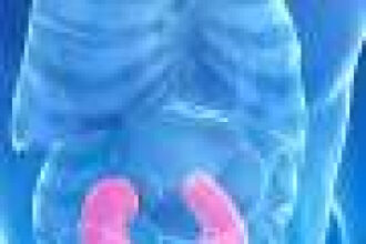 Hyperuricemia predicts mortality with chronic kidney disease