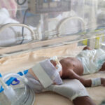 Study Reassures on Probiotic Sepsis Risk in Very Preterm Infants
