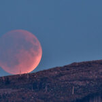 What’s Up: August 2026 Skywatching Tips from NASA