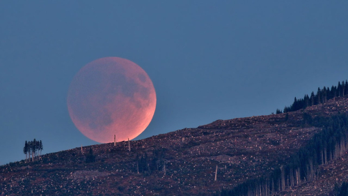 What’s Up: August 2026 Skywatching Tips from NASA