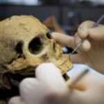 A Young Person&rsquo;s 200,000-Year-Old Skull Fragment Suggests Diverse Human Populations in Ancient Spain