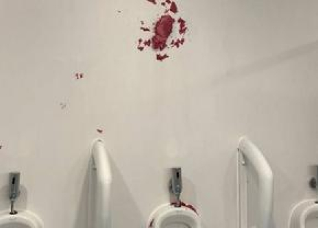 OZN-ul din Tulcea, vandalizat din prima zi: „Dragi «specialiști», avem o veste proastă”