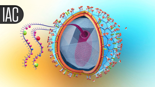 Long-Acting Lenacapavir Still Delivered Effective HIV PrEP After a Year
