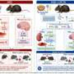 Soy lysolecithin counters high-salt diet-induced hypertension and cognitive impairment