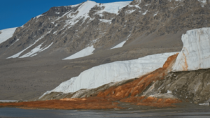Antarctica’s Blood Falls teems life from unexpected source