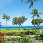 California family members claim they were attacked at luxury Maui resort during violent melee