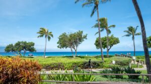 California family members claim they were attacked at luxury Maui resort during violent melee