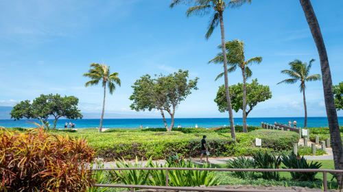 California family members claim they were attacked at luxury Maui resort during violent melee