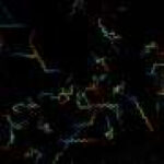 Bringing it all into focus—computational microscope captures 25.2 billion pixels per second across a wide field of view
