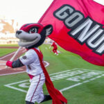 Minor league baseball team’s fireworks go awry and send fans scrambling for cover in viral video