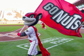 Minor league baseball team’s fireworks go awry and send fans scrambling for cover in viral video