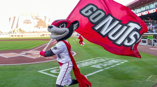 Minor league baseball team’s fireworks go awry and send fans scrambling for cover in viral video