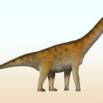 Fossil Find in China Reveals Dinosaur Family Never Before Seen in East Asia