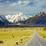 ‘Every dollar is mobile’: California’s rich snap up New Zealand ‘golden visas’