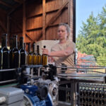 Instant Tranquille : cette cave coopérative du Brabant wallon présente son premier vin, “ce sont les premières bouteilles d’un projet de longue date”