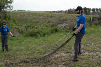 280 snakes killed at 2026 Florida Python Challenge
