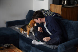 Gene-edited beagles may offer future option for people with dog allergies…