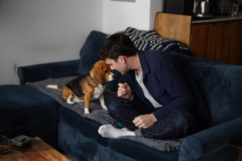 Gene-edited beagles may offer future option for people with dog allergies…