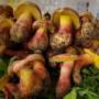 Q&A: Mushroom behind ‘tiny people’ hallucinations identified