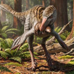 New Troodontid Dinosaur Genus Identified from Fossil Bone Found Decades Ago in New Mexico