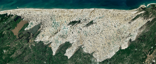 This Paradoxical Desert Landscape Is Filled with Fresh Water