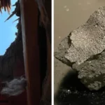 Meteorite that smashed through a New Jersey roof reveals clues to life’s origins