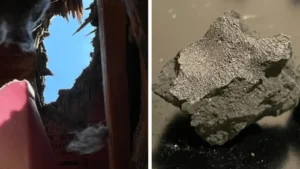 Meteorite that smashed through a New Jersey roof reveals clues to life’s origins