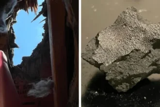 Meteorite that smashed through a New Jersey roof reveals clues to life’s origins