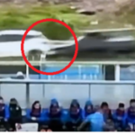 Nemaiîntâlnit: accident rutier provocat de un meci de fotbal. ”Trebuie arestat pe loc”: imaginile au făcut înconjurul lumii