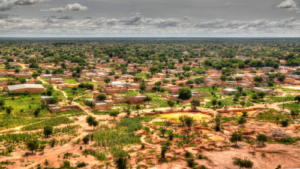 ‘Now our lives have changed’: Drop in coal burning is helping the African Sahel turn green after decades of drought